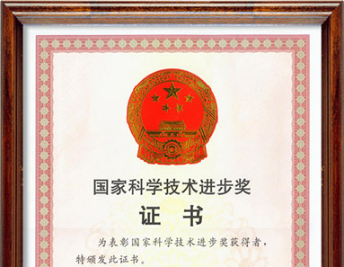 國家科學技術進步獎證書
